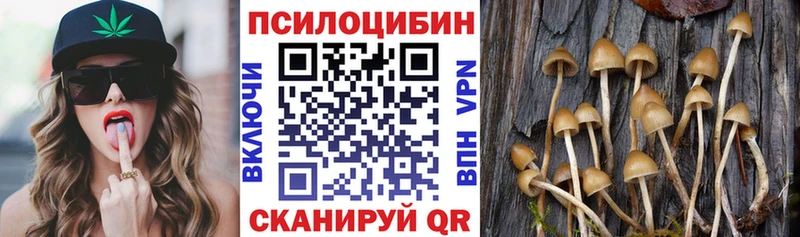 Псилоцибиновые грибы Psilocybine cubensis  Кедровый 
